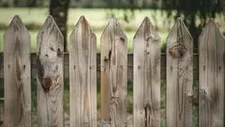 Garden Fencing Norfolk 06