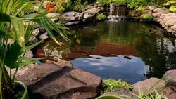 Garden Pond Norfolk 05