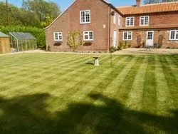 Lawns and Turfing