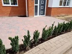 Planting and Borders