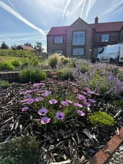 Planting Borders Norfolk 02